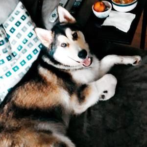 Meet your Posher, Patricia